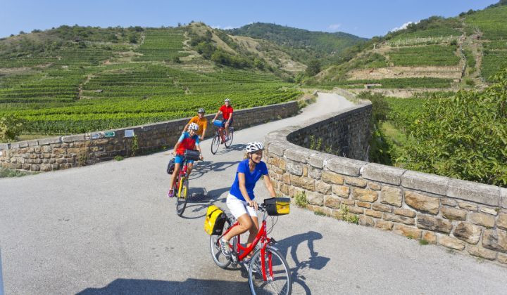 Cyclistes le long des vignobles de la Wachau - Danube - Autriche