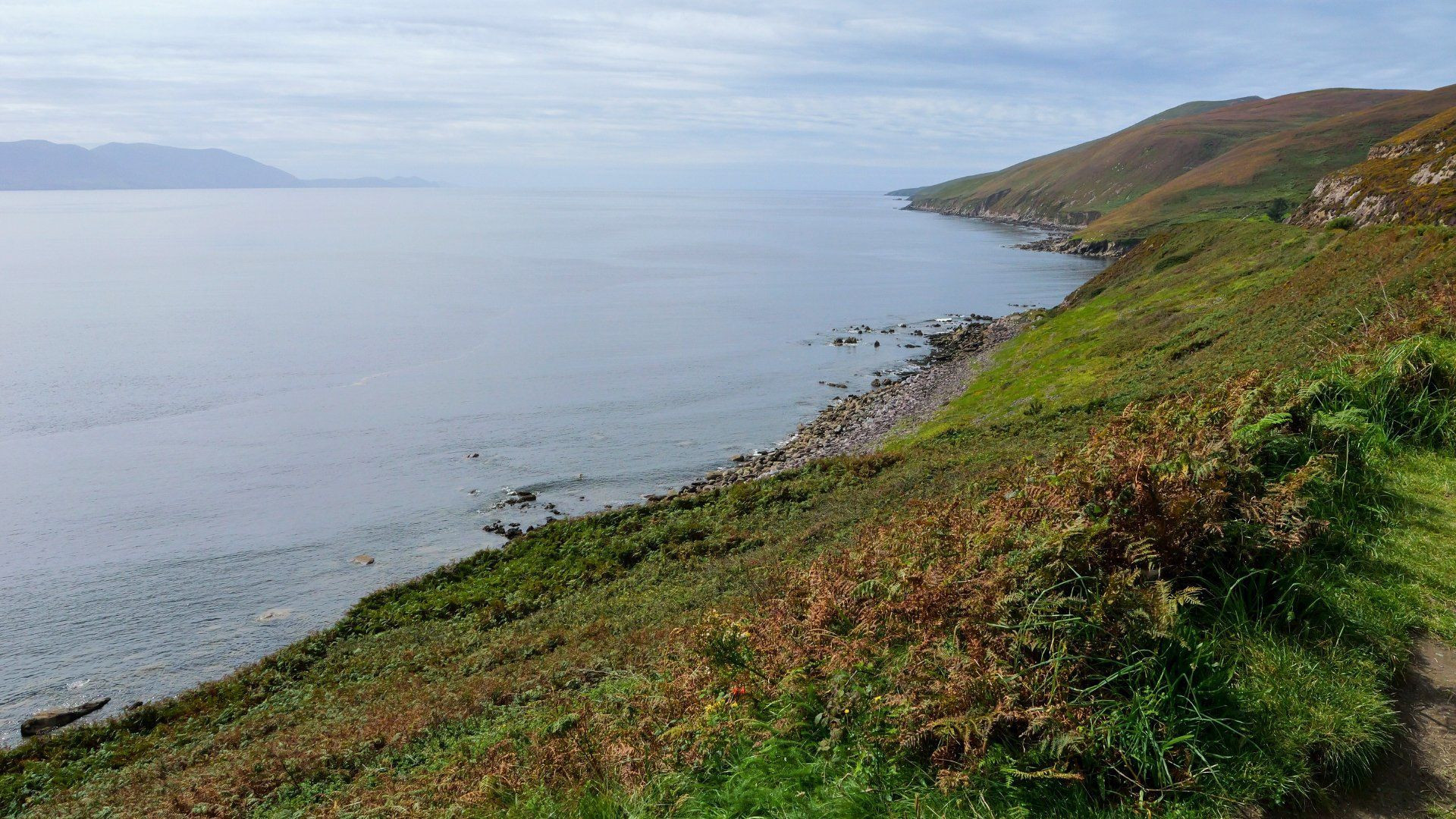 Côte sauvage et sentier littoral - Péninsule de Dingle - Kerry - Irlande