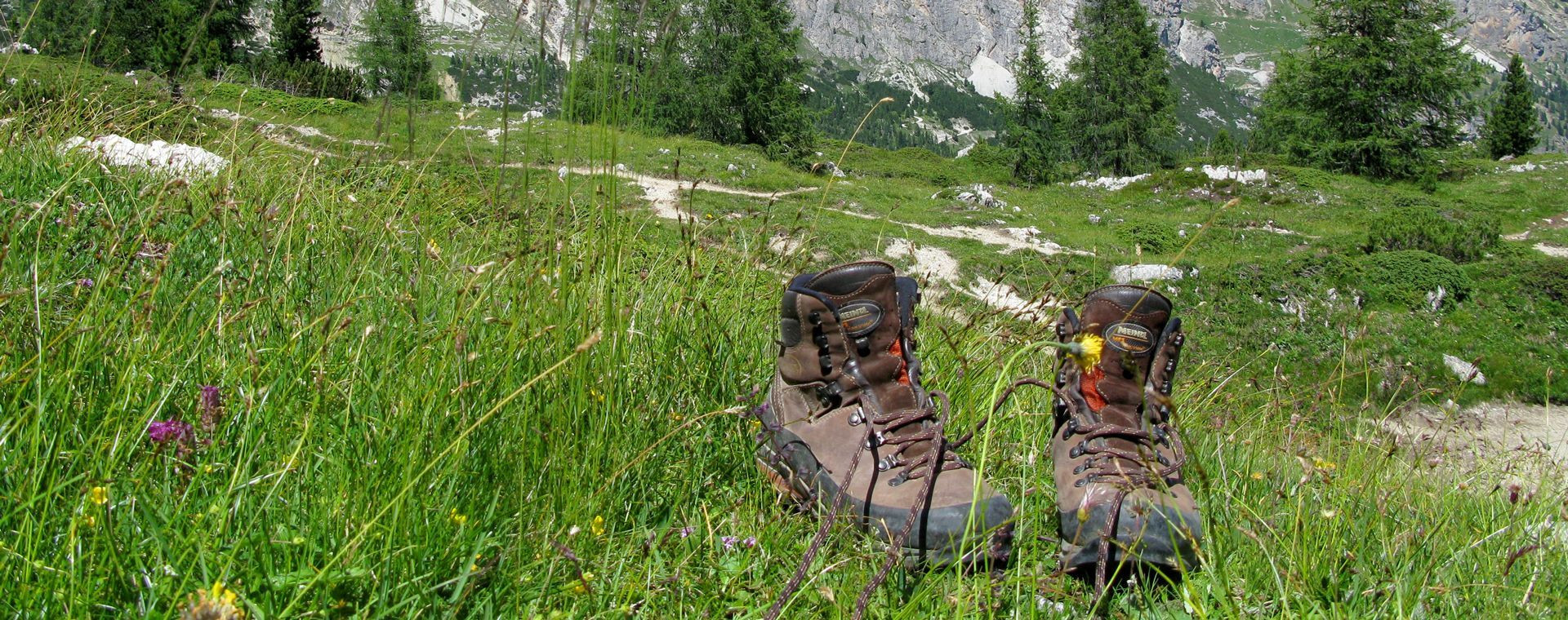 Chaussures de randonnée dans une prairie alpine - Dolomites - Italie