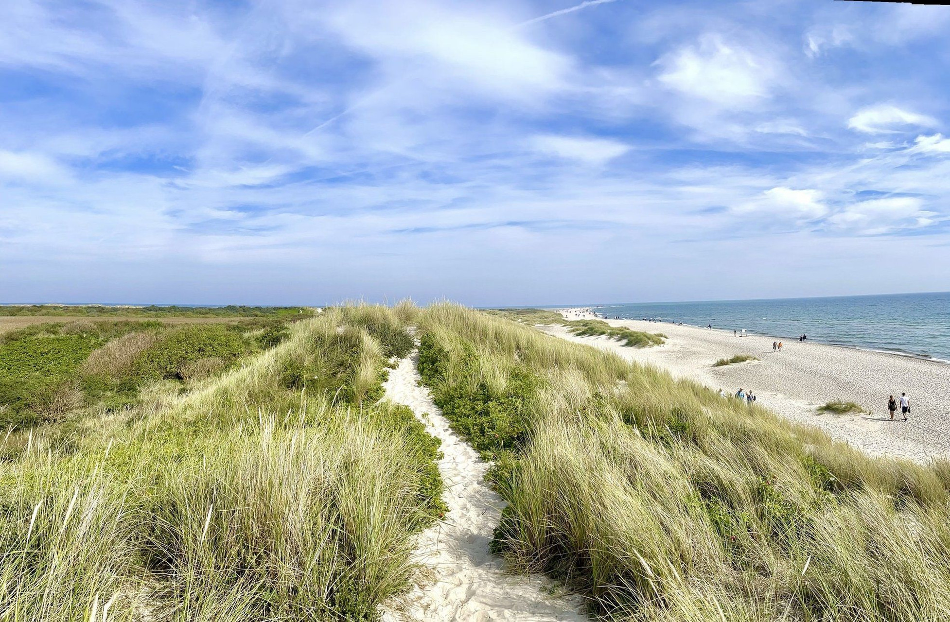 Sentier dans les dunes vers la plage - côte de la mer du Nord
