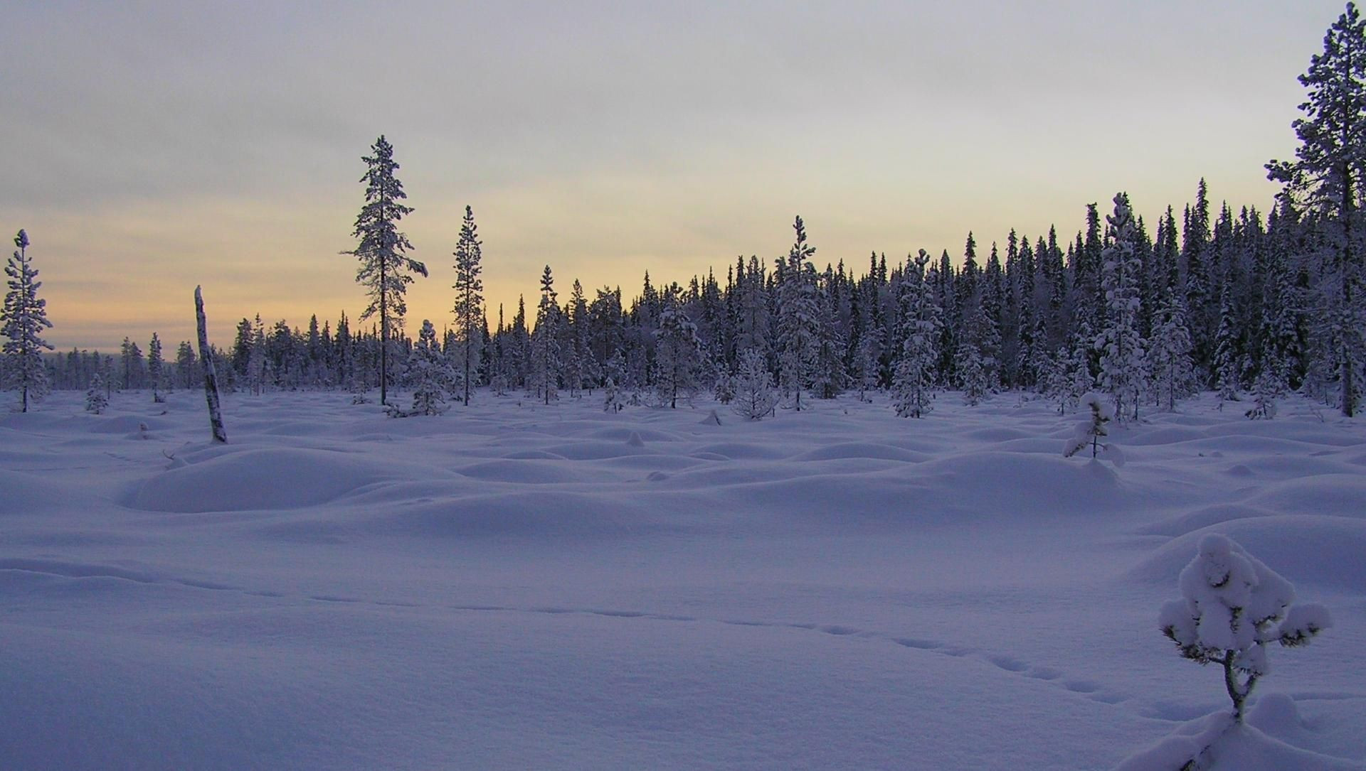 Coucher de soleil sur un paysage enneigé de Laponie - Finlande