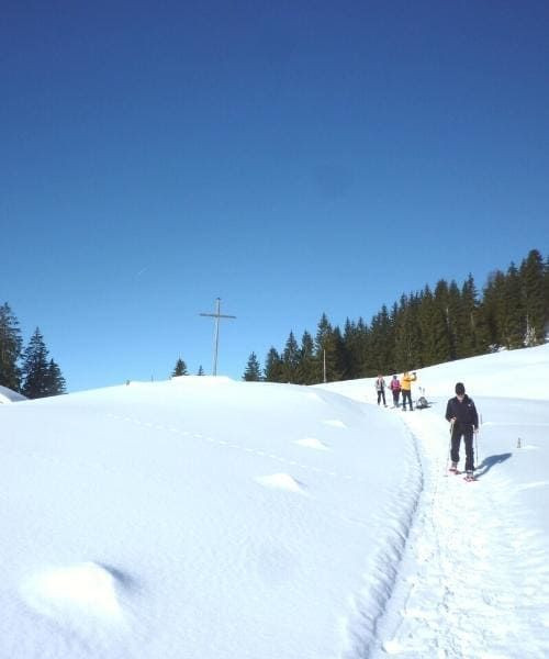 En direction de Spicherhaldealpe