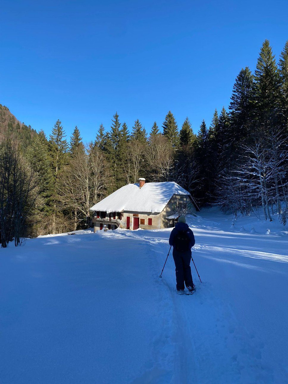 Randonneur en raquettes vers le refuge d'Esparron en hiver - Vercors - France