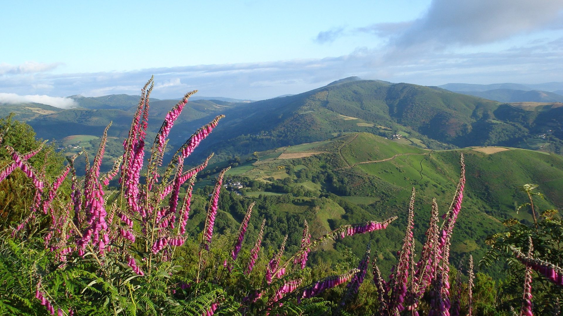 esplp1026-camino-frances-4