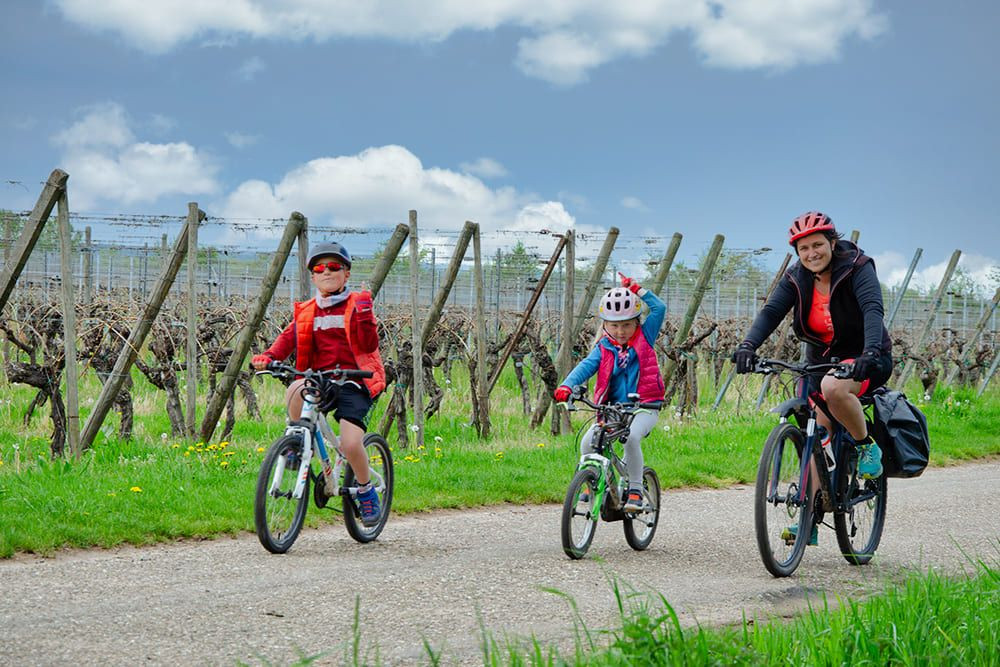 © Quentin Vanaker Famille à vélo dans les vignobles - Alsace - France