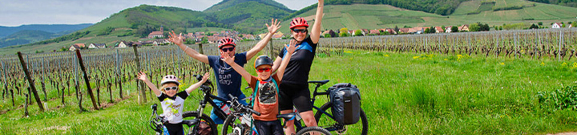 Famille à vélo dans les vignobles - Route des Vins d'Alsace - France