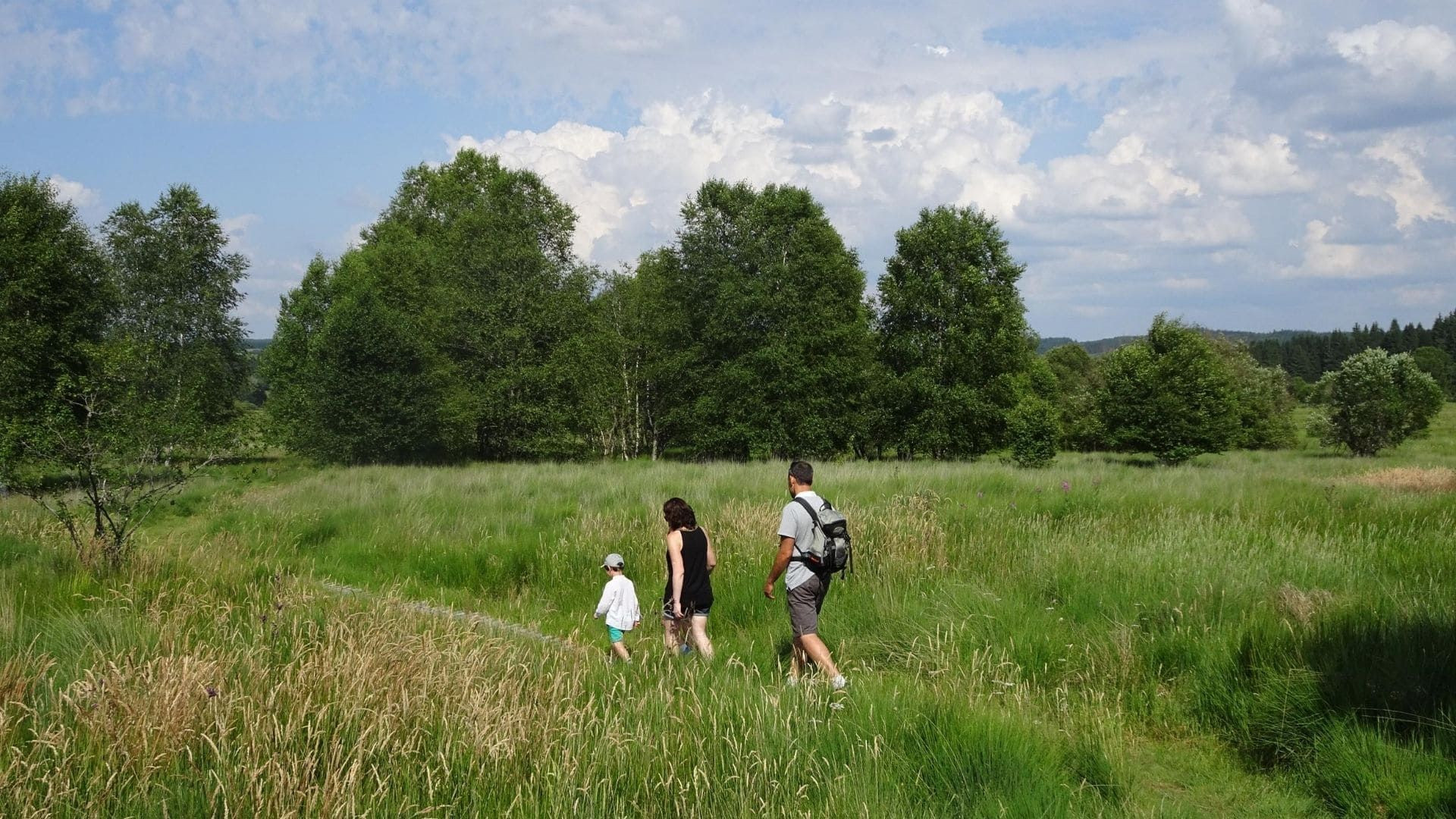 Randonnée en famille à la tourbière du Longeyroux - Plateau de Millevaches - France