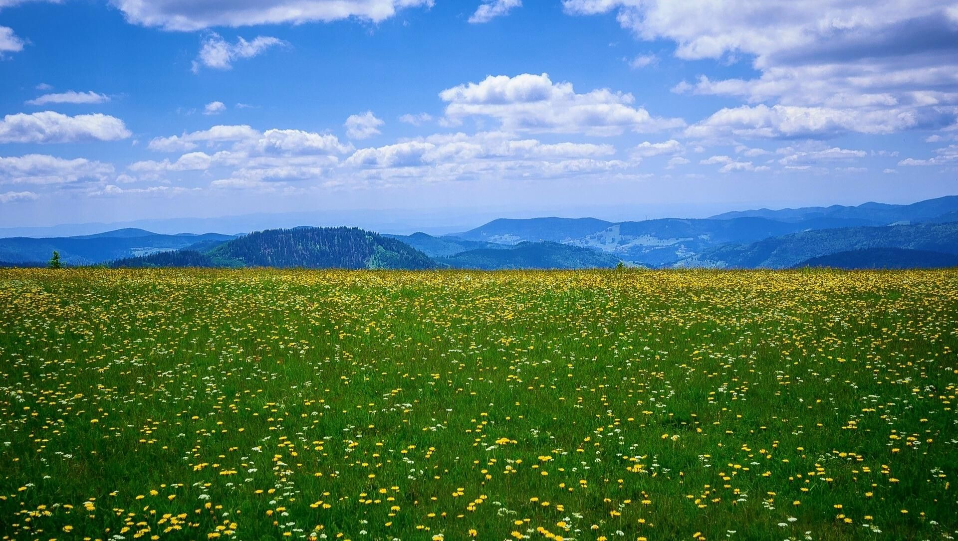 Feldberg - Allemagne