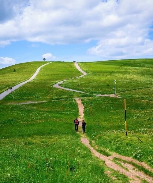 © Pixabay feldberg_c_pixabay_.jpg
