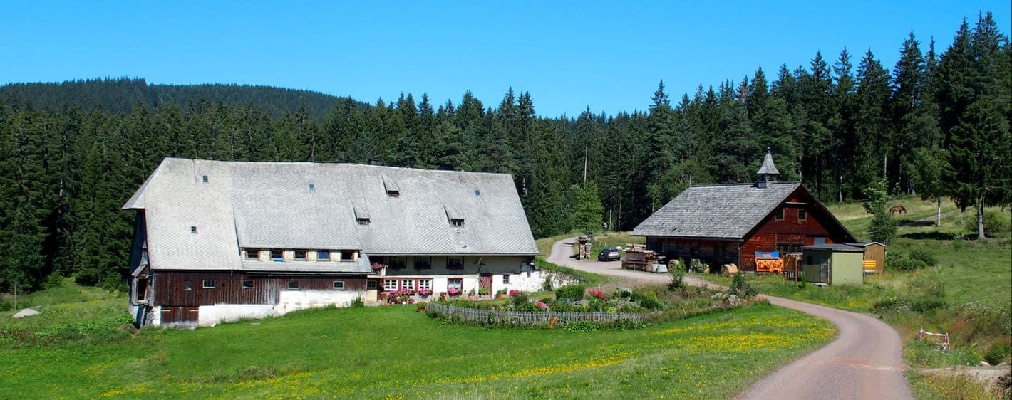 Ferme Foret Noire 0 - Allemagne