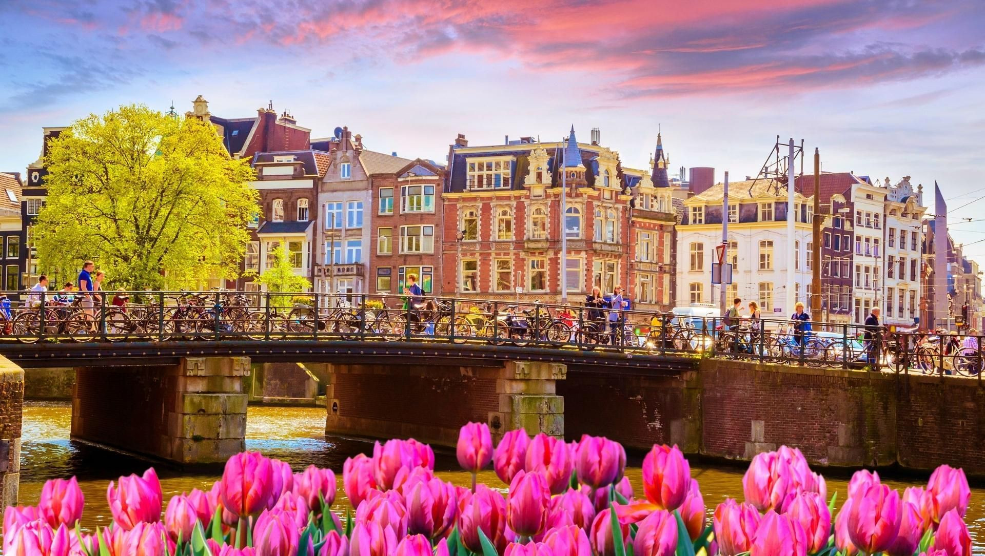 Tulipes le long d'un canal d'Amsterdam - Hollande - Pays-Bas