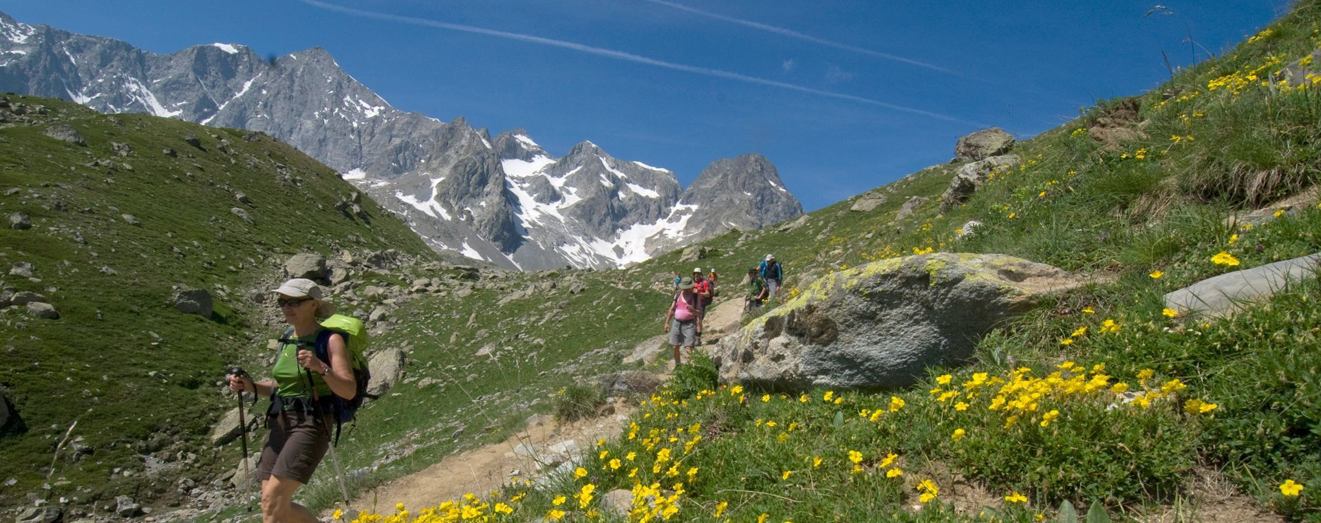 Randonnée fleurie sous les sommets - Tour de l'Oisans - Écrins, France