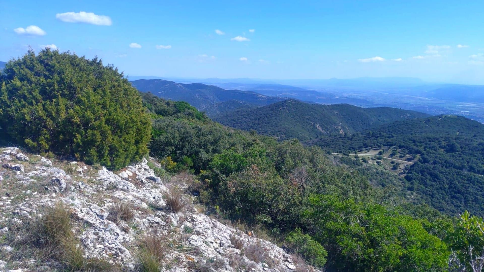 © Oriane Tempé Vue depuis la forêt des Cèdres de Bonnieux - Luberon - France