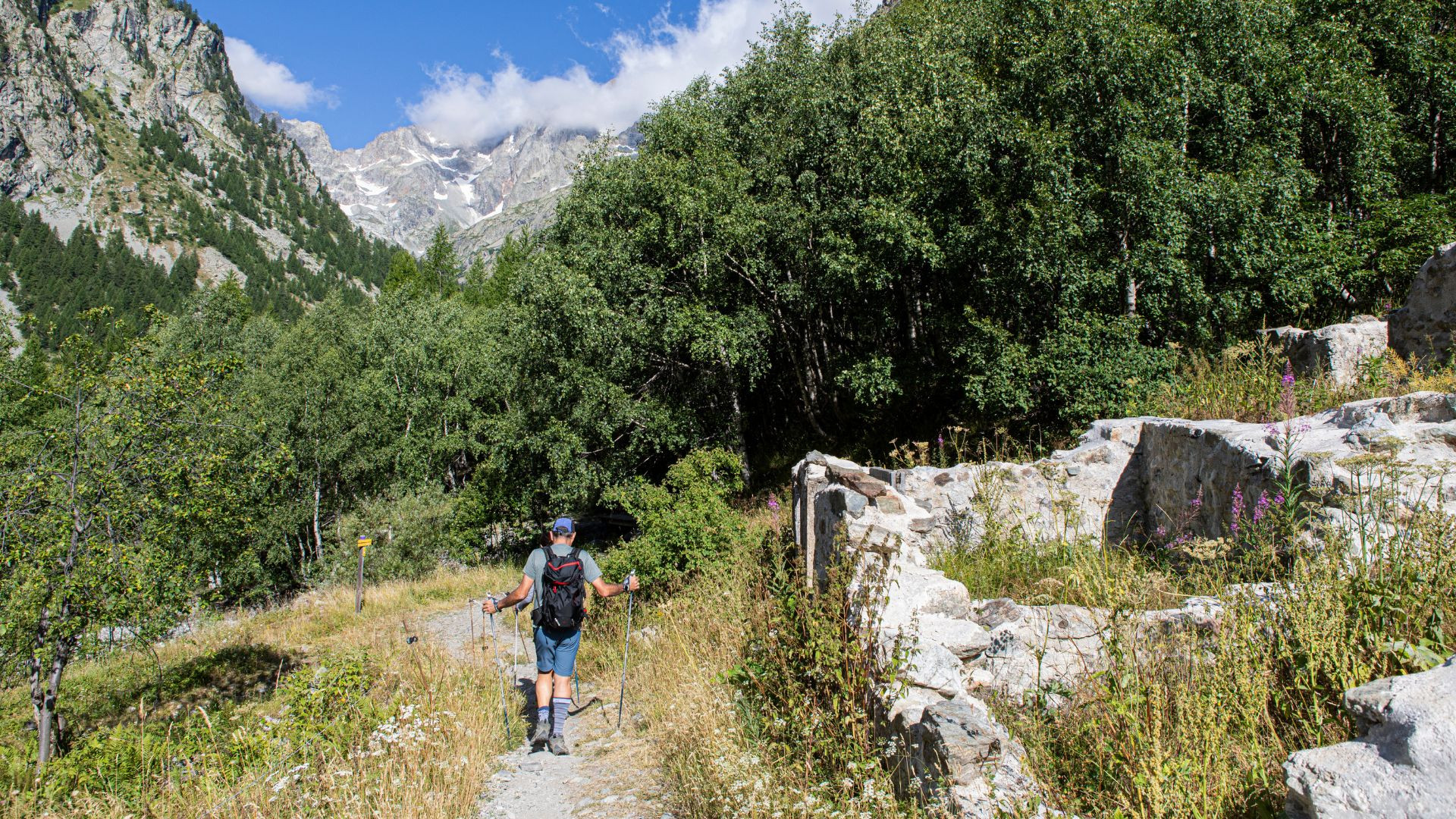 fragp0044-parc-national-des-ecrins-entre-les-aigues-maillet-thierry.jpg
