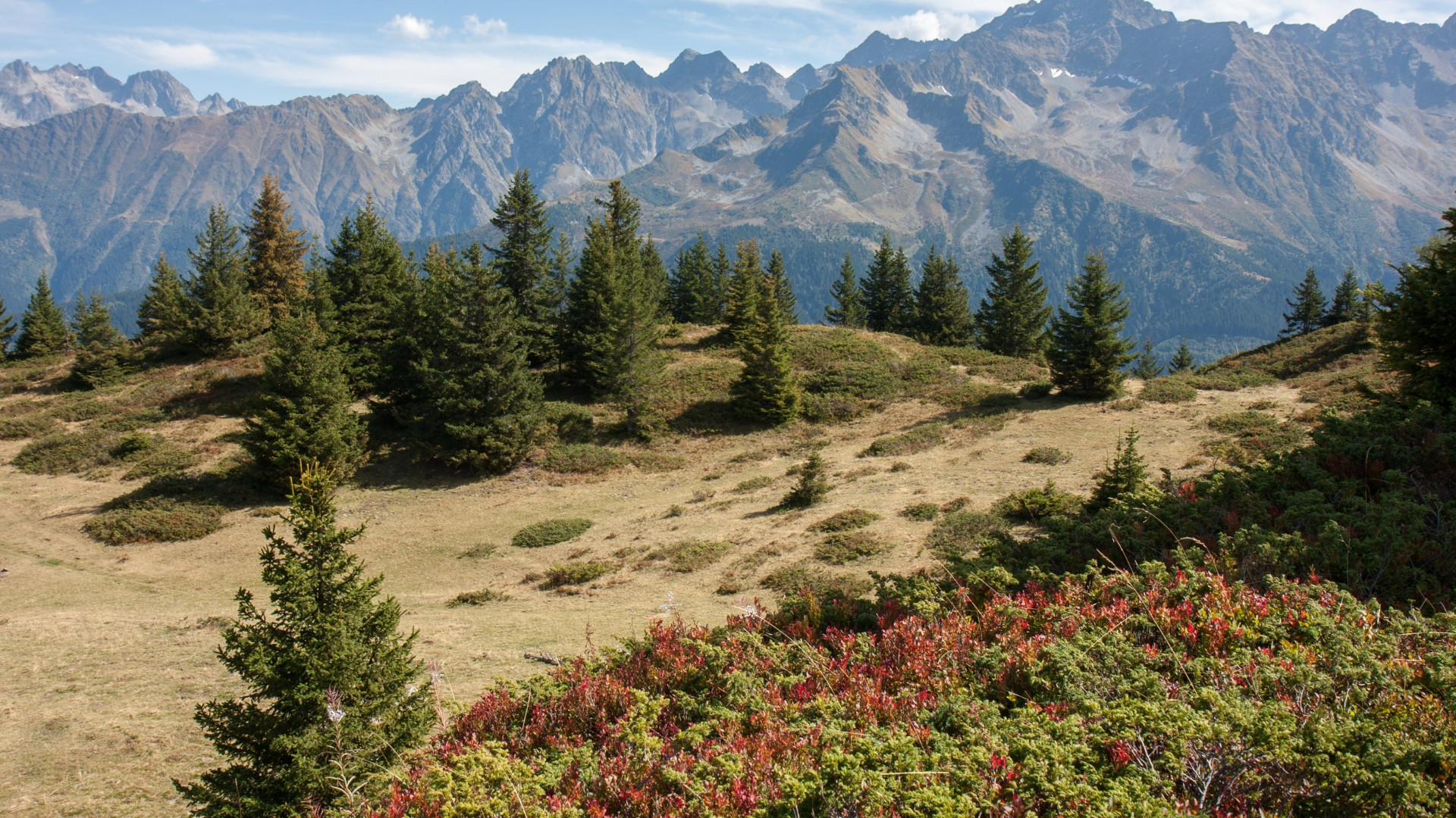 fragp0090-belledonne-le-cret-du-poulet