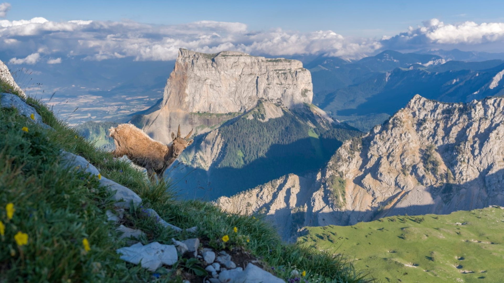 fragp0102-mont-aiguille