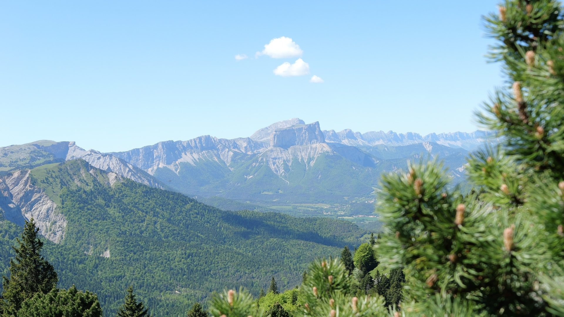 fragp0102-mont-barral-2 (3)