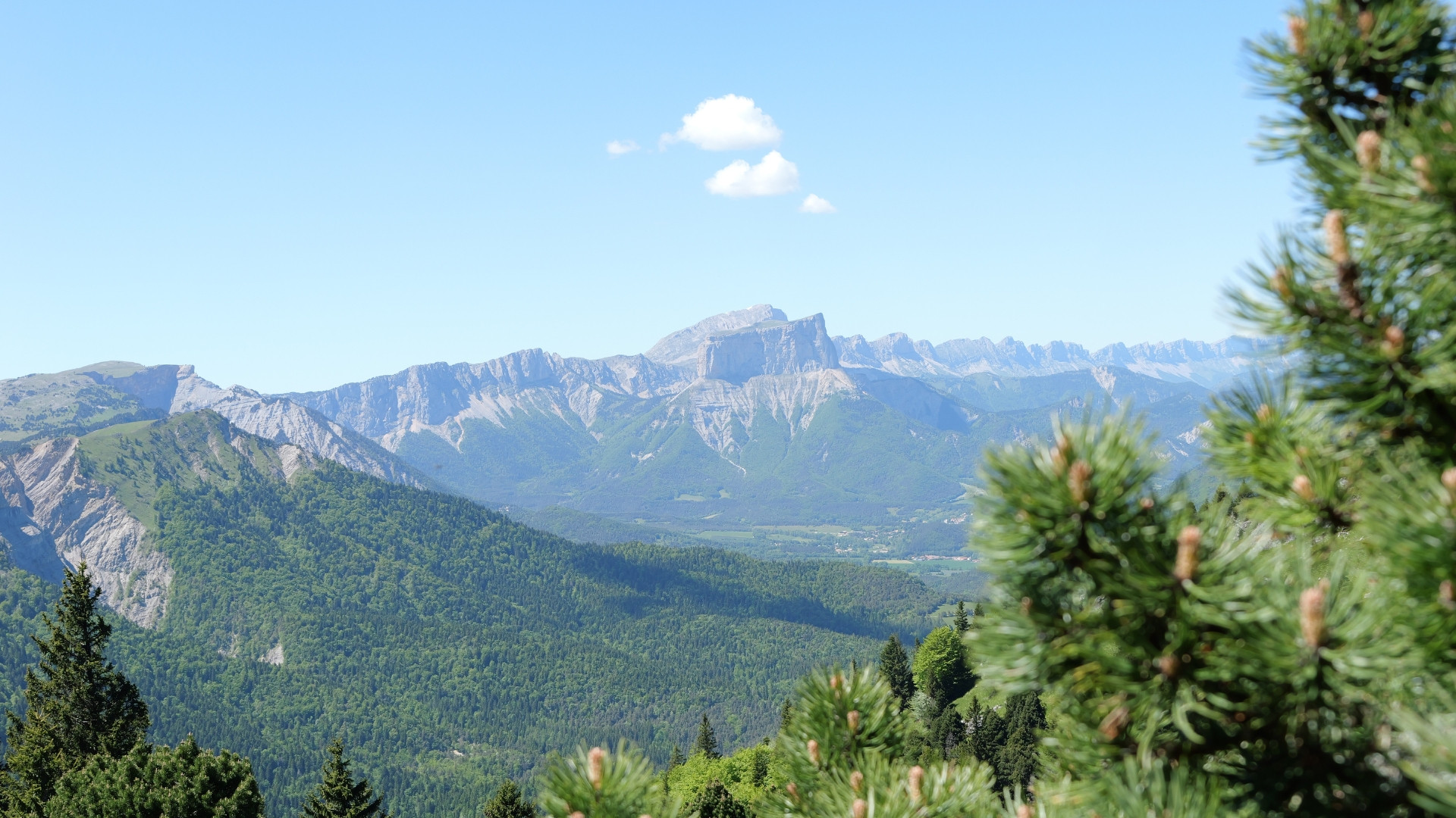 fragp0102-mont-barral-2