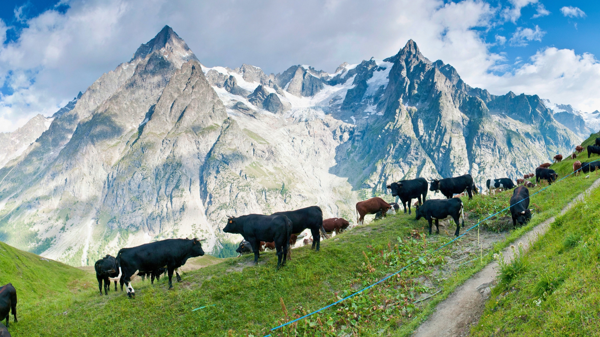 fragp1017-tmb-guided-7-days-val-ferret