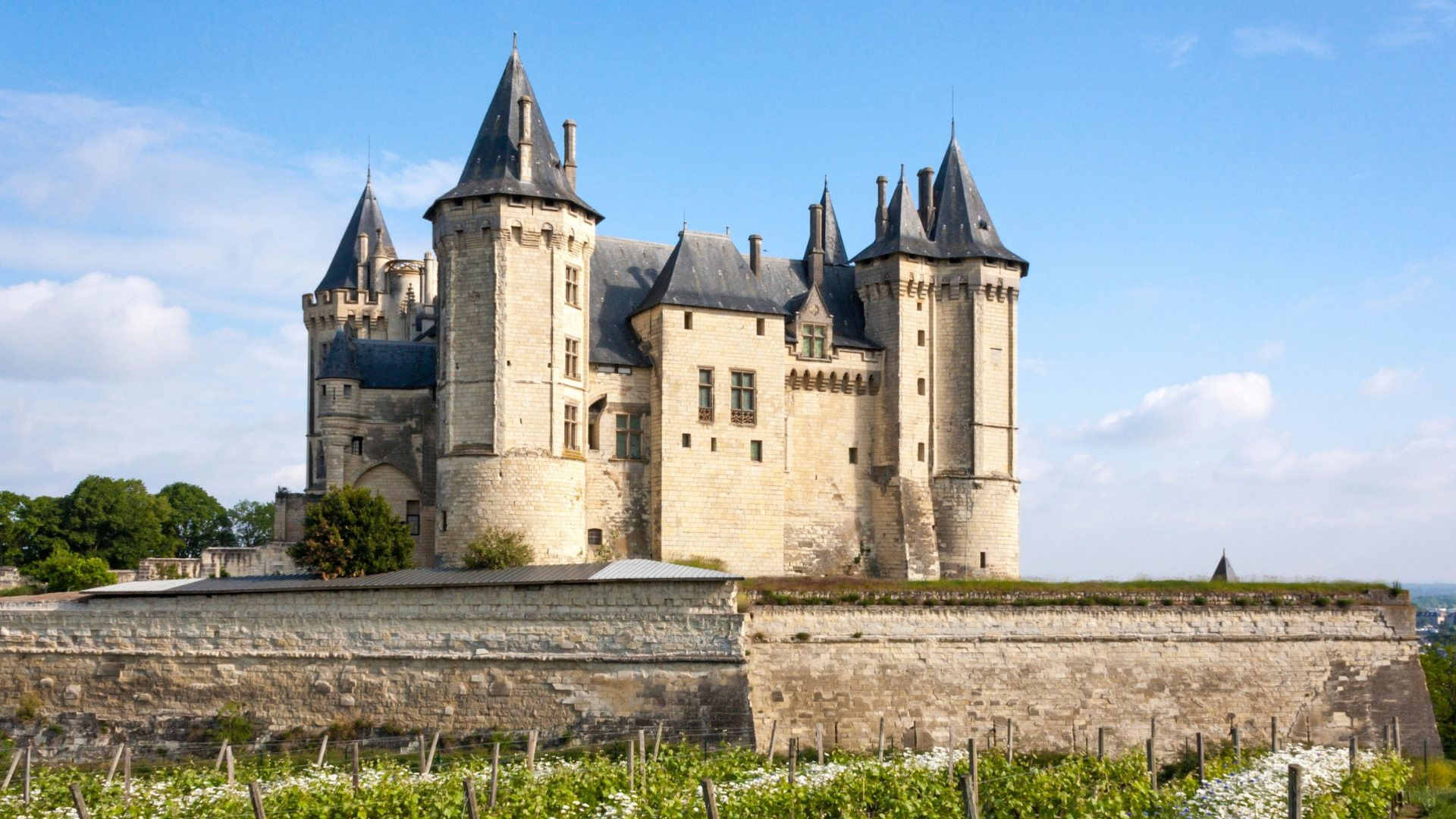 fragv0022-chateau-de-saumur
