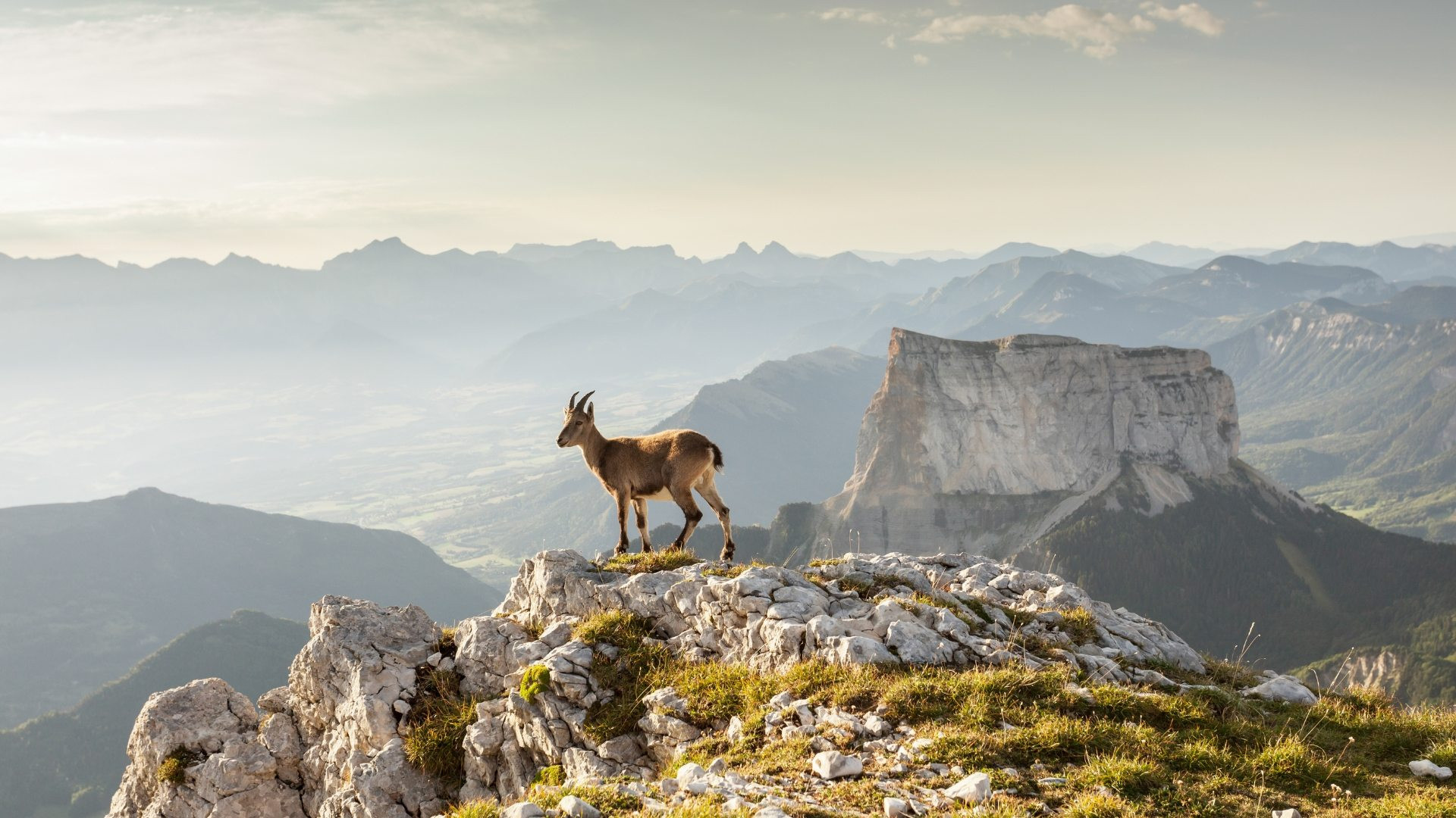 fralp0021-trieves-et-tour-du-mont-aiguille-en-liberte