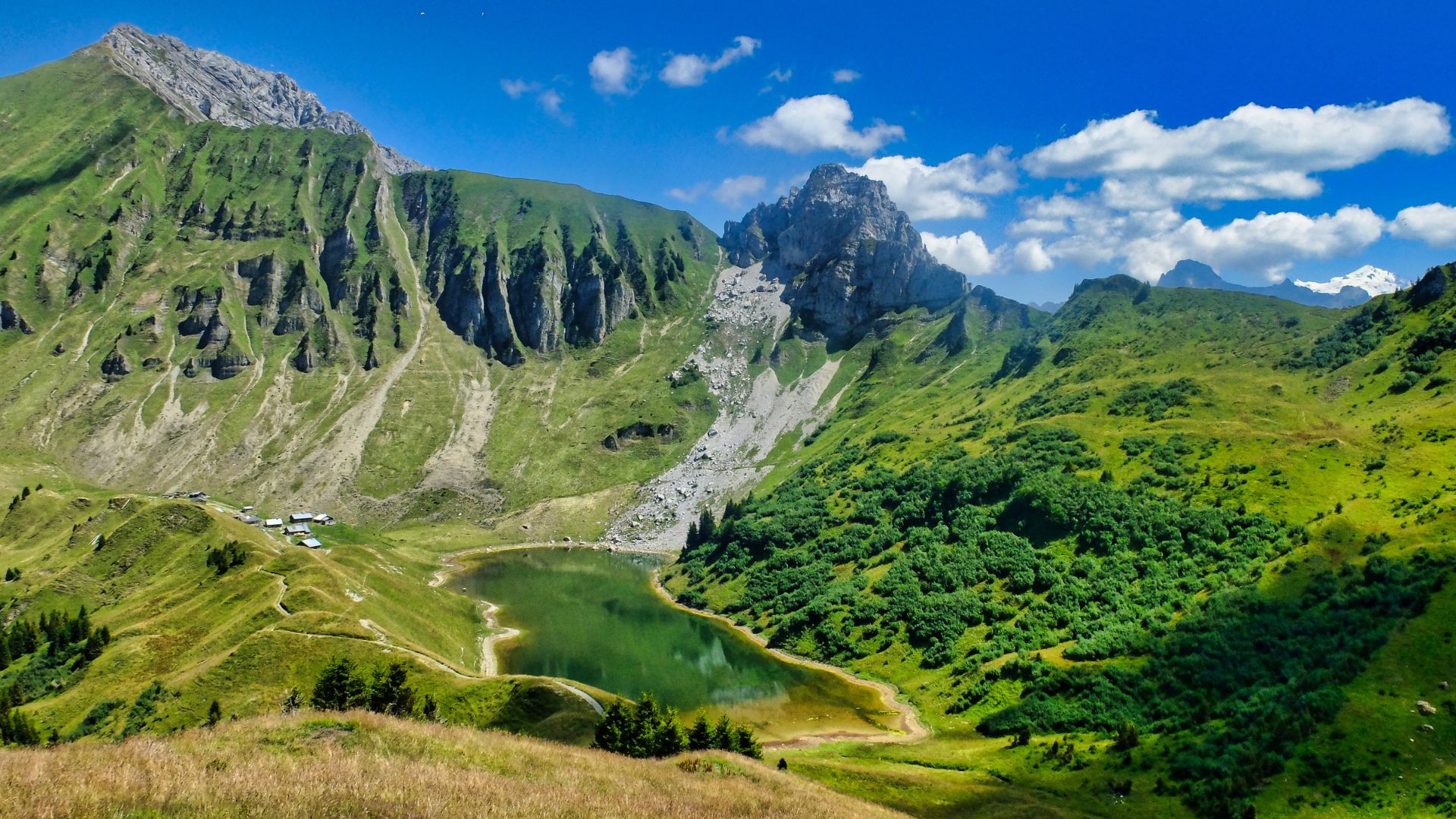fralp0025-lac-de-lessy-aravis-alpes