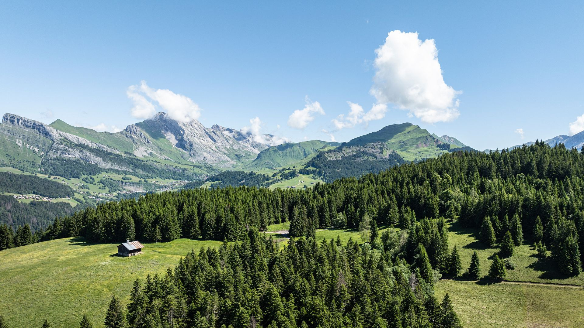 fralp0025-st-jean-de-sixt