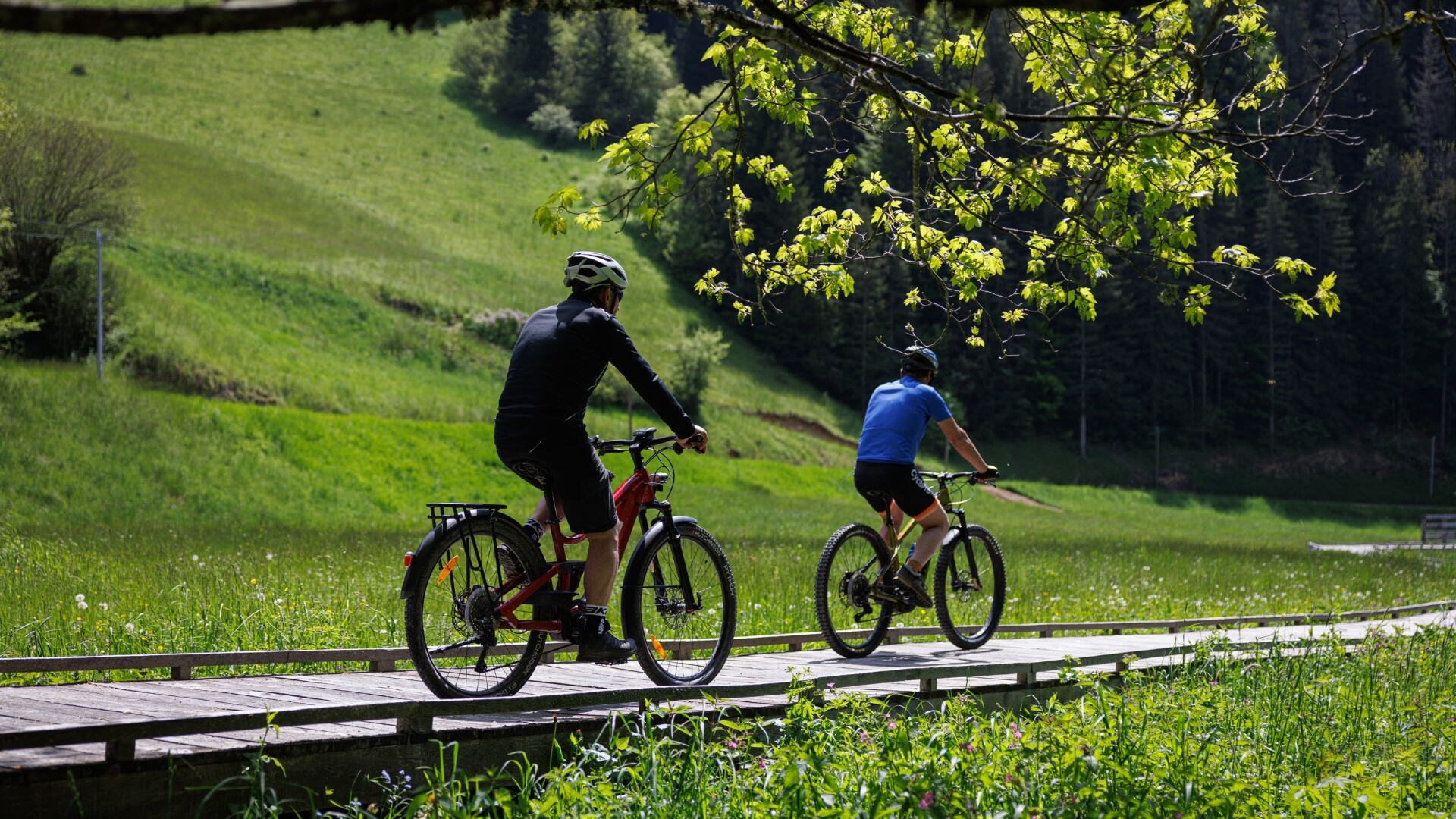 fralv0044-via-vercors-thibualt-dion
