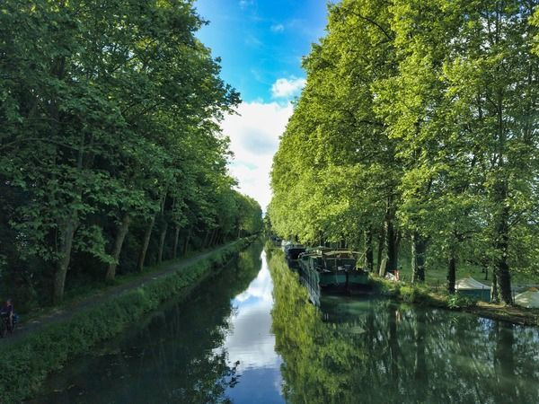 Canal de la Garonne bordé de platanes avec péniche - Aquitaine - France