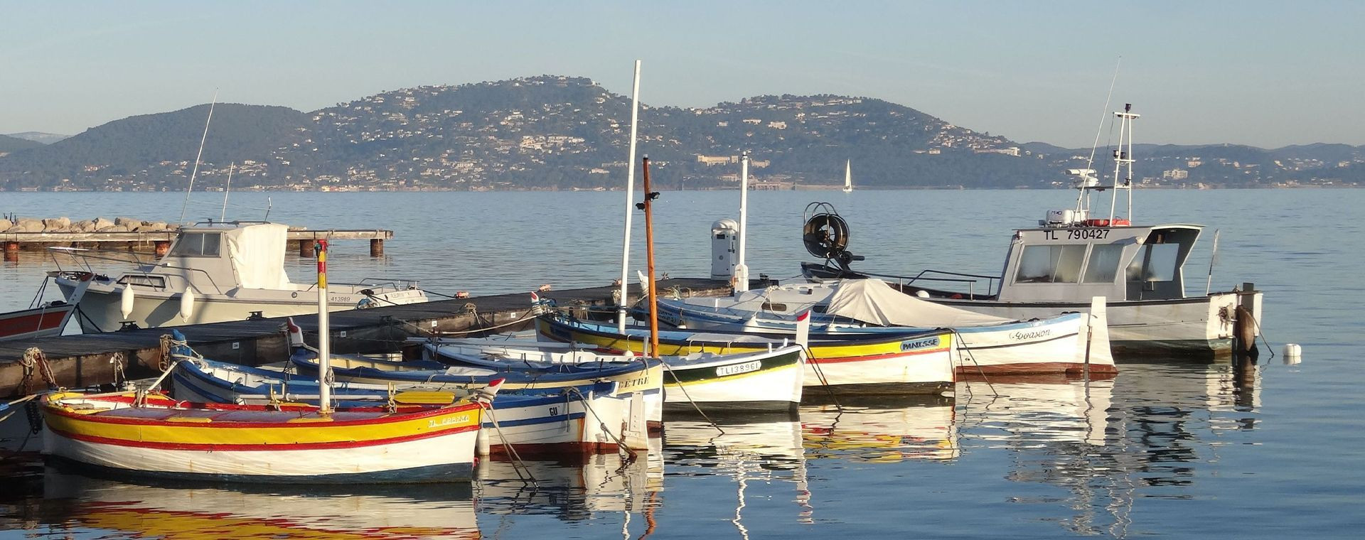 Barques de pêcheurs colorées amarrées dans le port - Giens - France