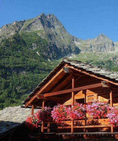 Gite fleuri dans le Grand Paradis