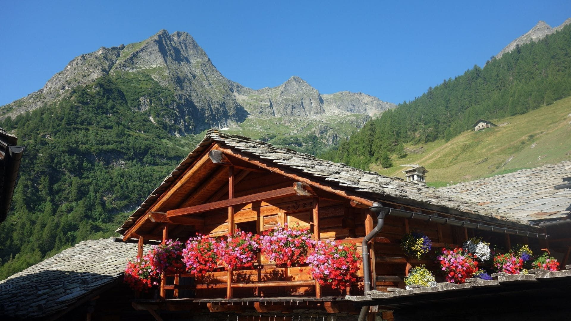 Chalet fleuri de géraniums - Grand Paradis - Vallée d'Aoste - Italie