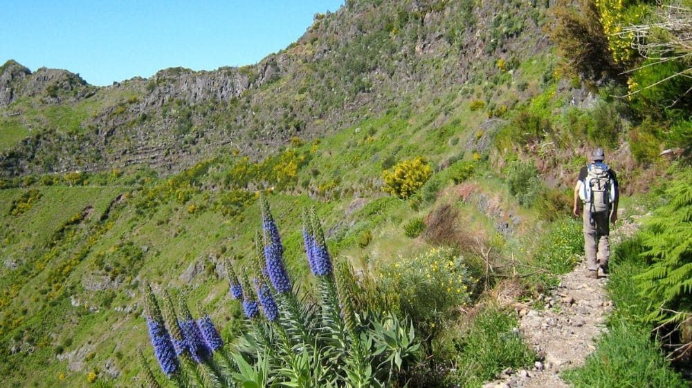 GR10 au col d'Occabe - Pyrénées basques - France