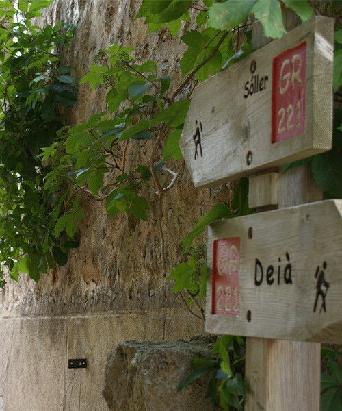 © Giovanna Crippa GR221-Deia-Soller