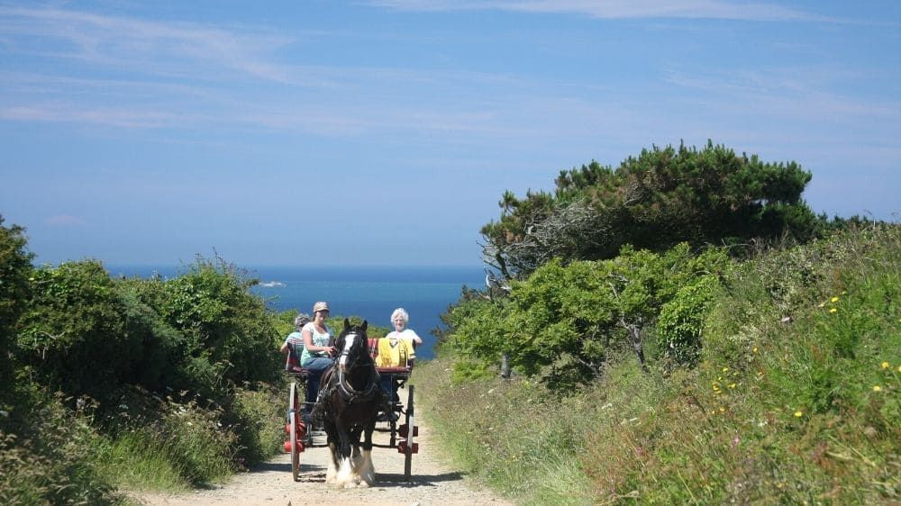 Grande Grève au pied de La Coupée - Sark - Îles Anglo-Normandes