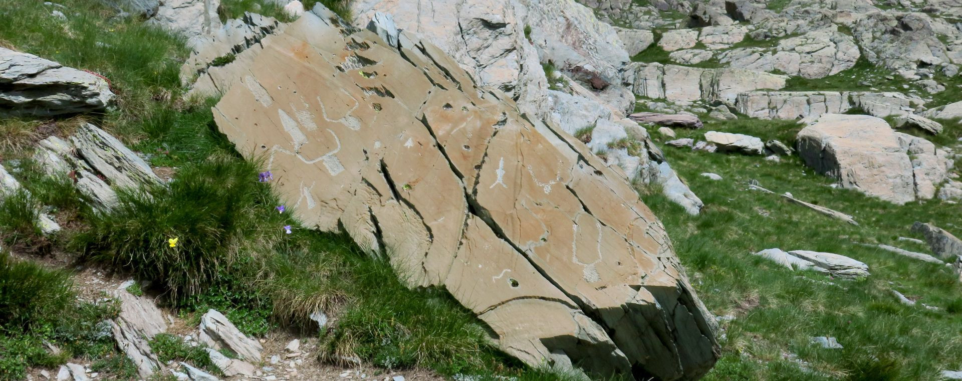 Dalle rocheuse striée par les glaciers sur un sentier d'altitude - Alpes - France