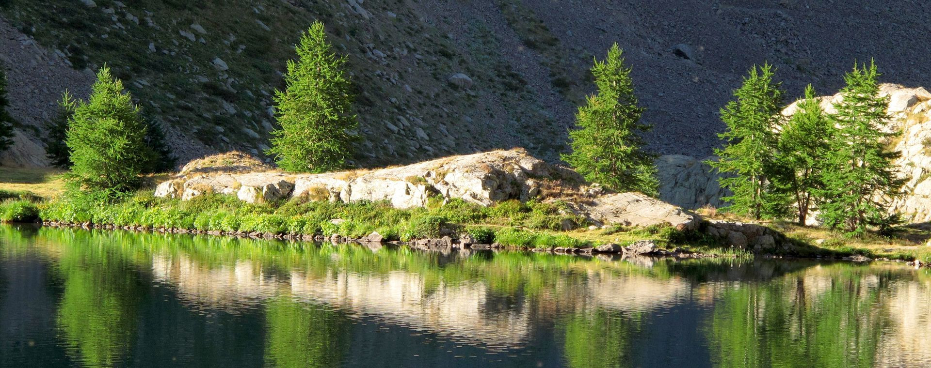Lac de montagne et mélèzes au lever du jour - Grande Traversée des Alpes - Alpes, France