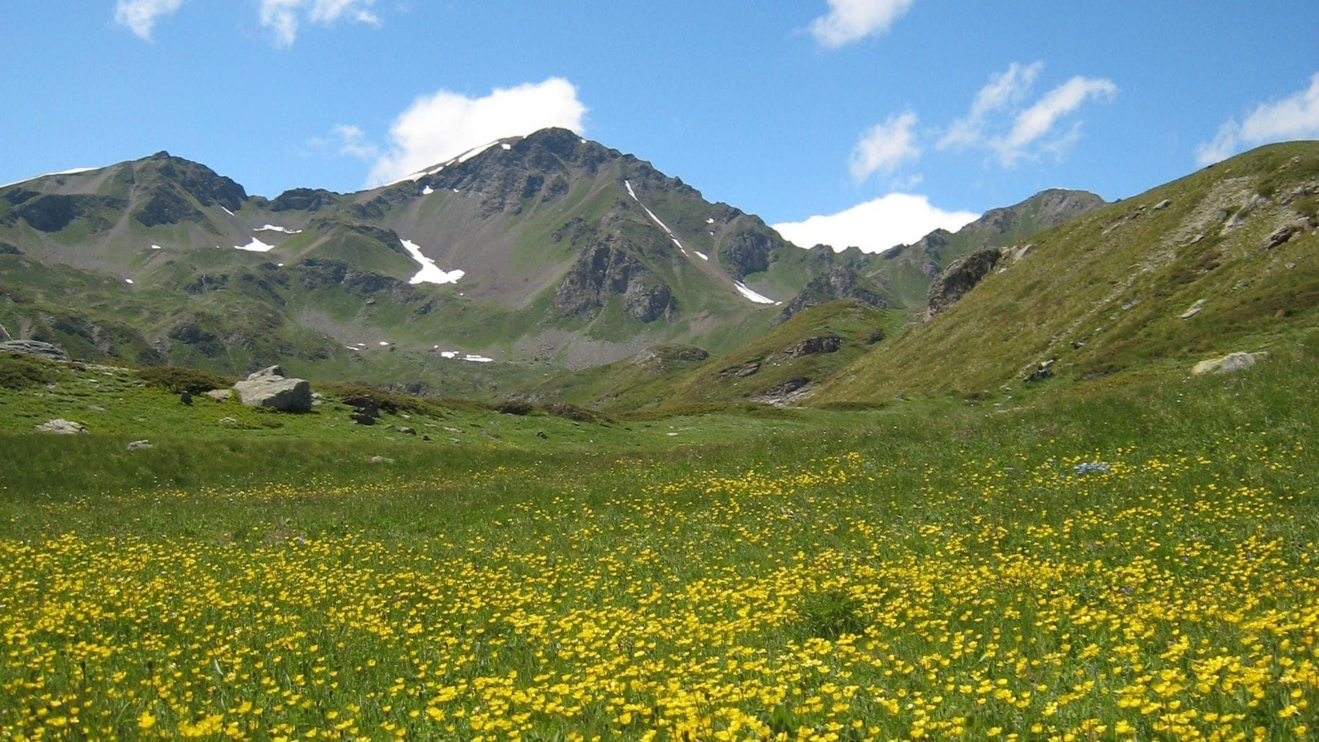 Grand Paradis Juin 2007 C Francois Ribard - Italie - great-paradis-juin-2007-c-francois-ribard-italy-4