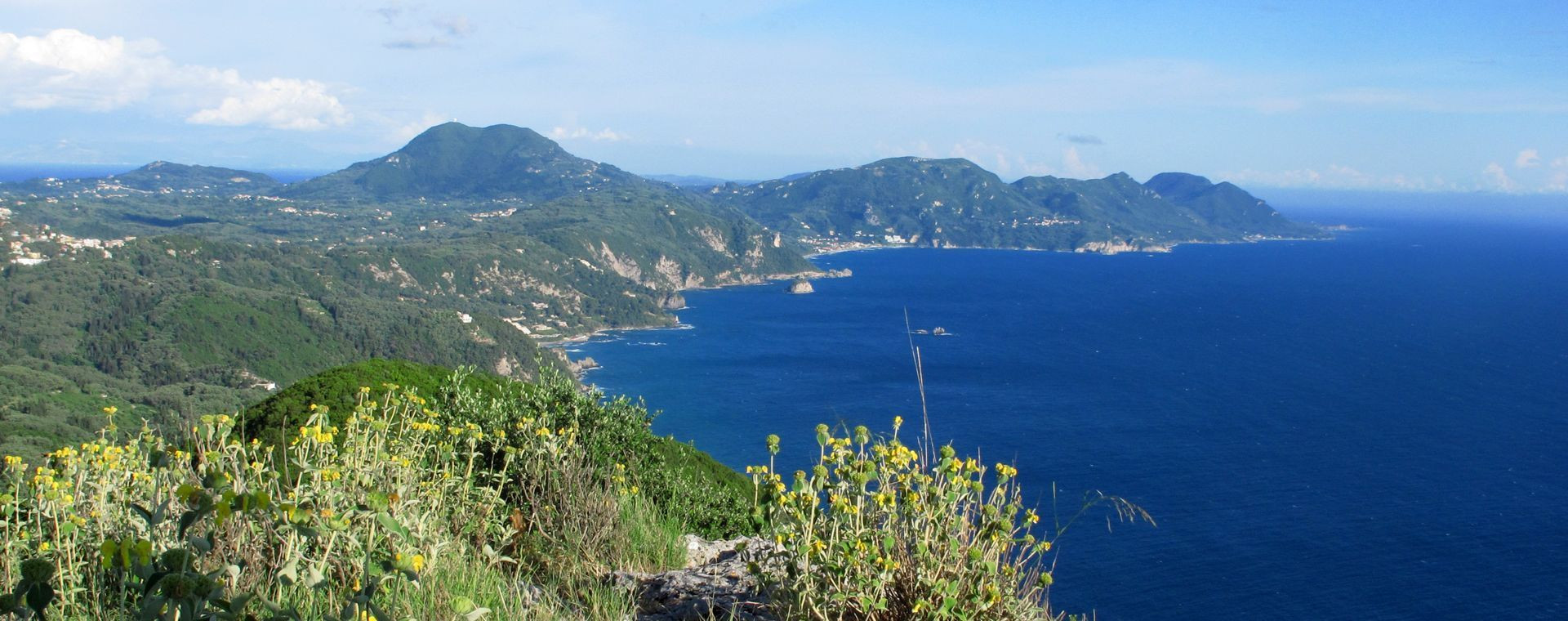 Côte verdoyante et fleurs jaunes au-dessus de la mer au printemps - Corfou - Grèce