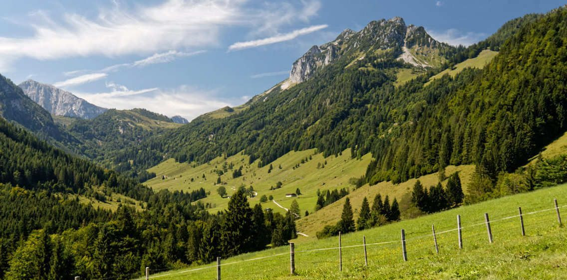 Vallée verdoyante et sommets boisés - Tyrol - Autriche