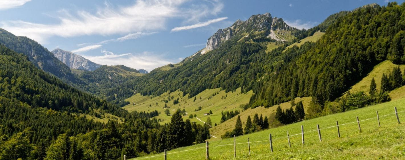 Paysage verdoyant du Vercors - France
