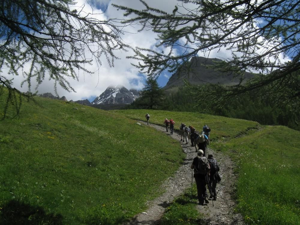 Groupe de randonneurs sur un sentier de montagne - Alpes - France