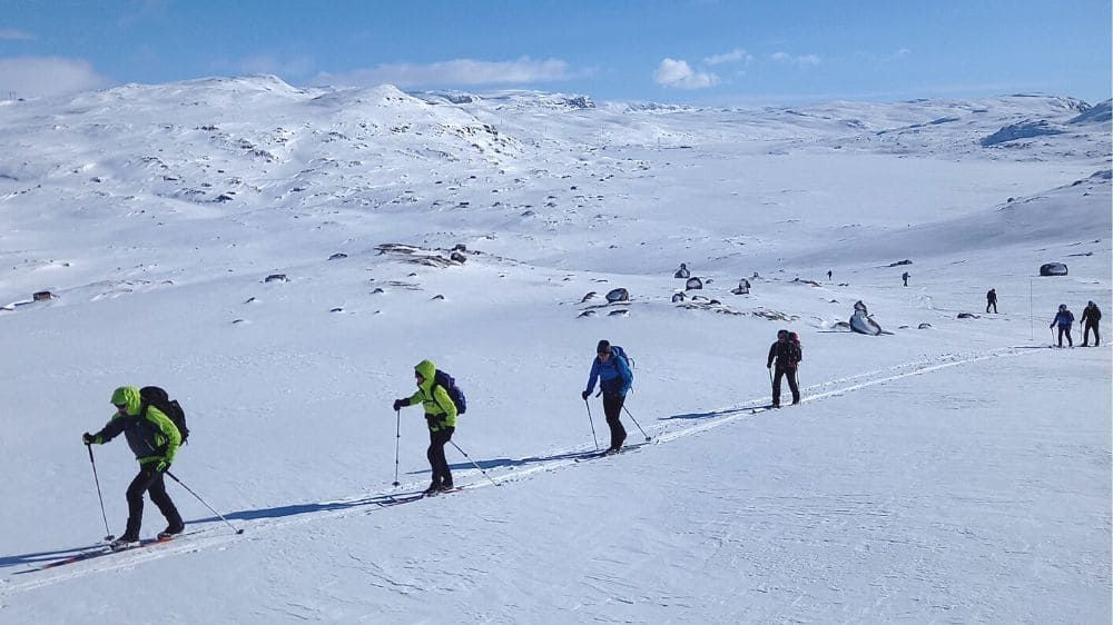 © Matthieu Offredi Groupe De Skieurs Nordique A Finse Norvege C Mathieu Offredi - Norvège