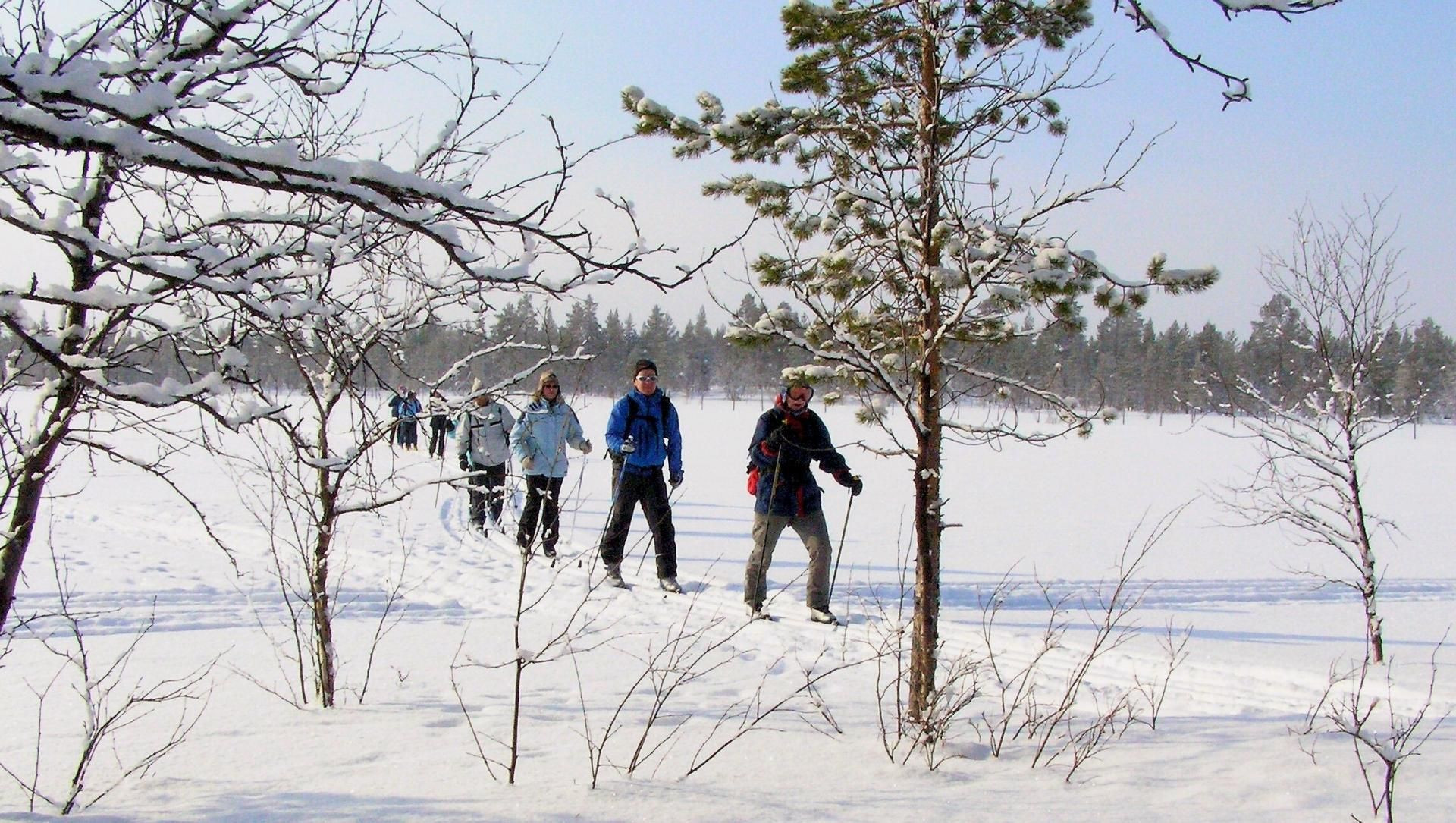Groupe en ski de fond sur lac gelé - Laponie - Finlande
