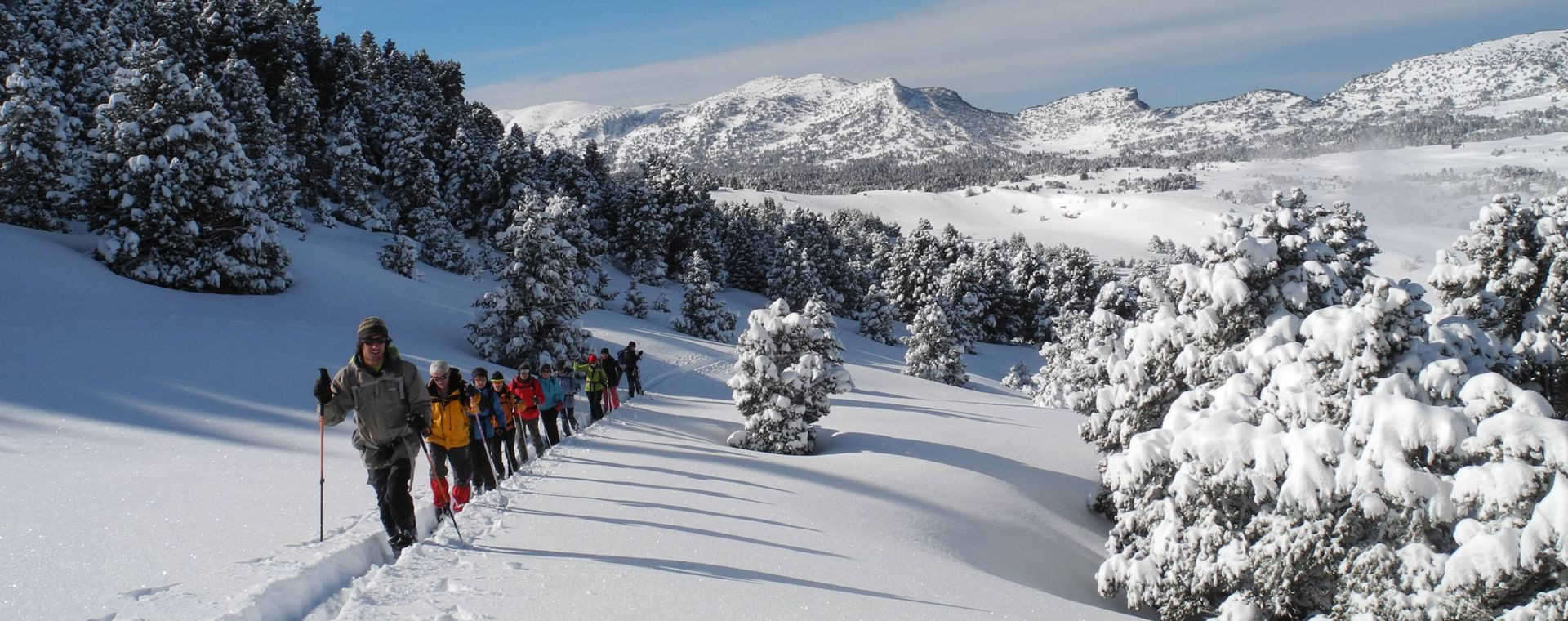 Groupe en raquettes dans la neige - Vercors - France