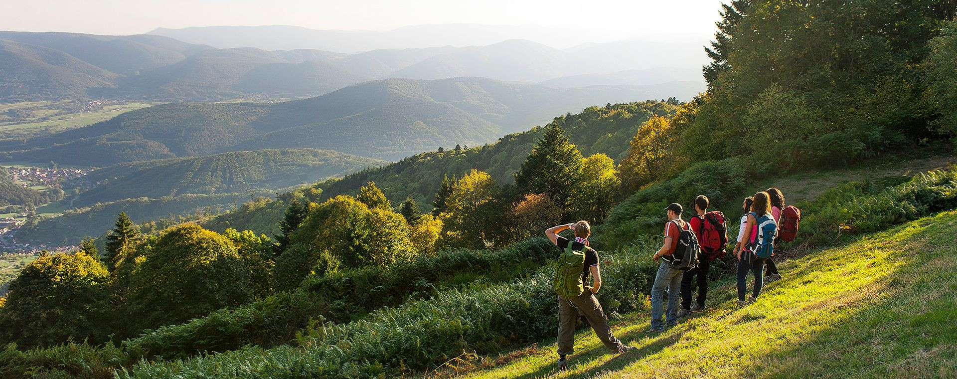 Groupe de randonneurs au-dessus des vignes - Alsace - France