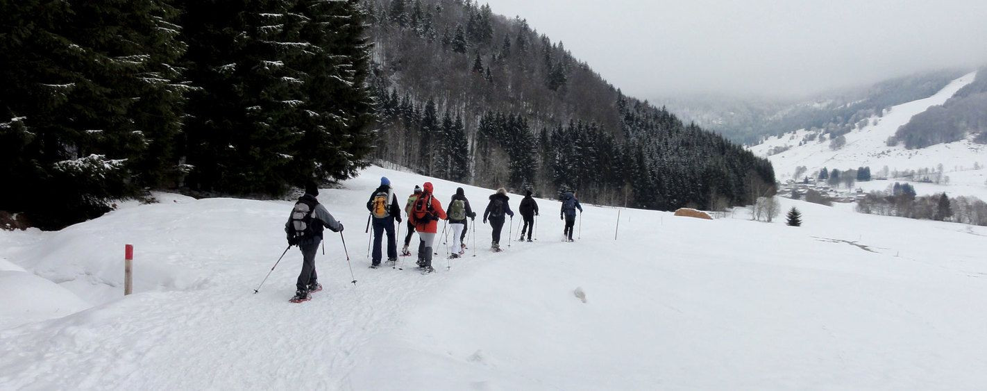 Groupe en raquettes dans la neige - Forêt-Noire - Allemagne