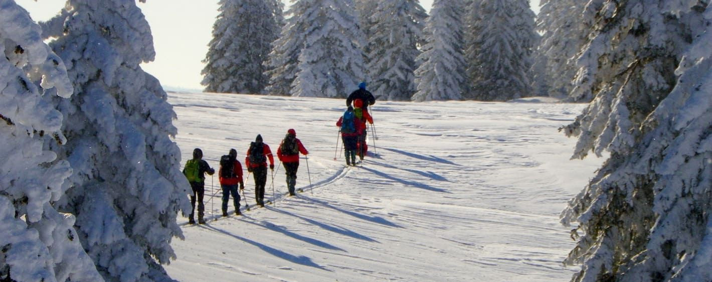 Groupe en ski nordique dans la forêt enneigée - Jura - France