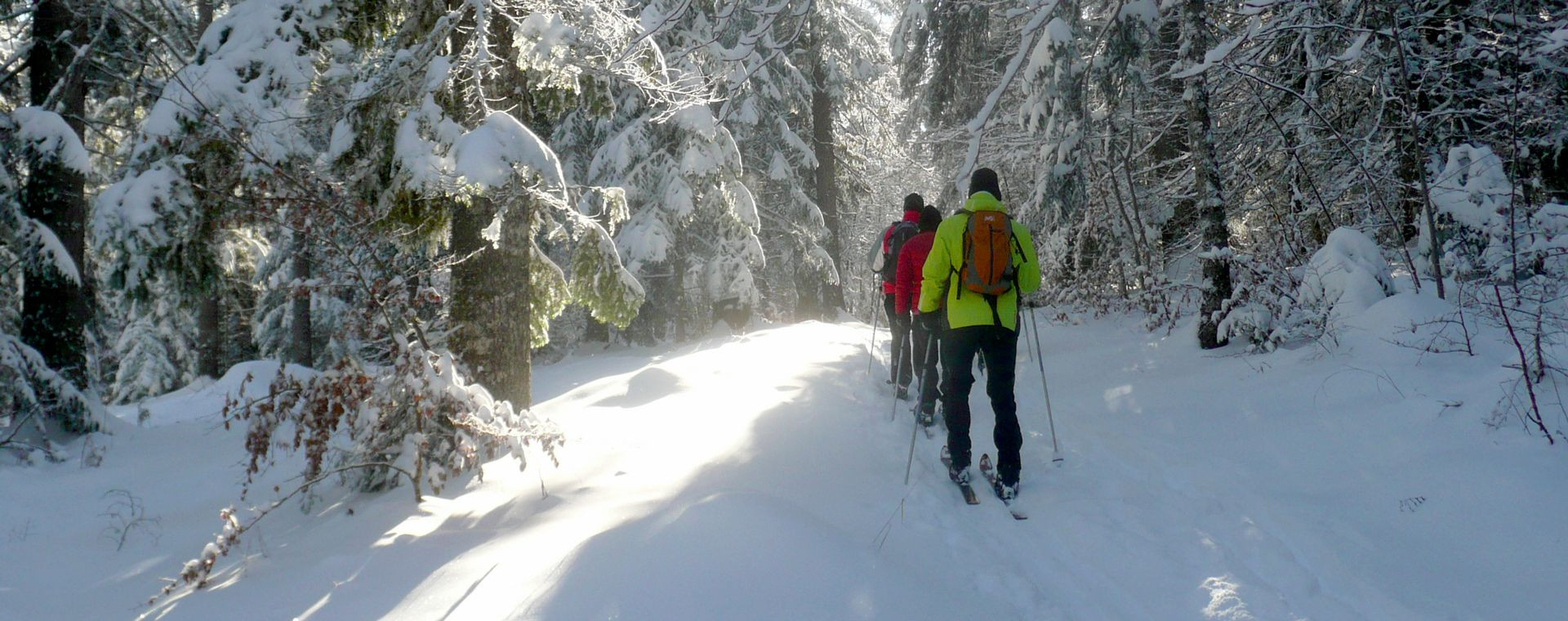 Groupe en ski nordique parmi les sapins enneigés - Vercors - France