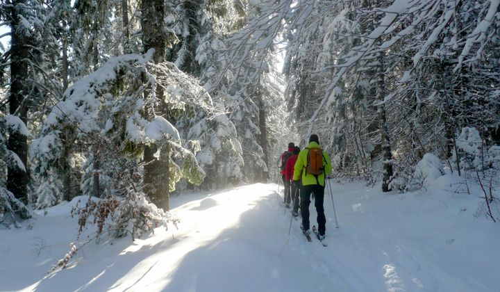 Groupe en raquettes dans la forêt enneigée - Vercors - France